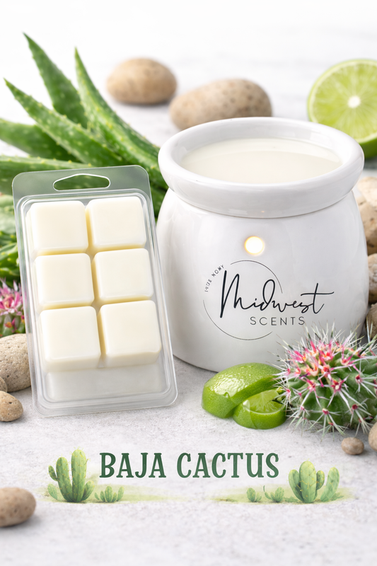Baja Cactus – Fresh Citrus & Green perfectly balanced, Long-Lasting Fragrance