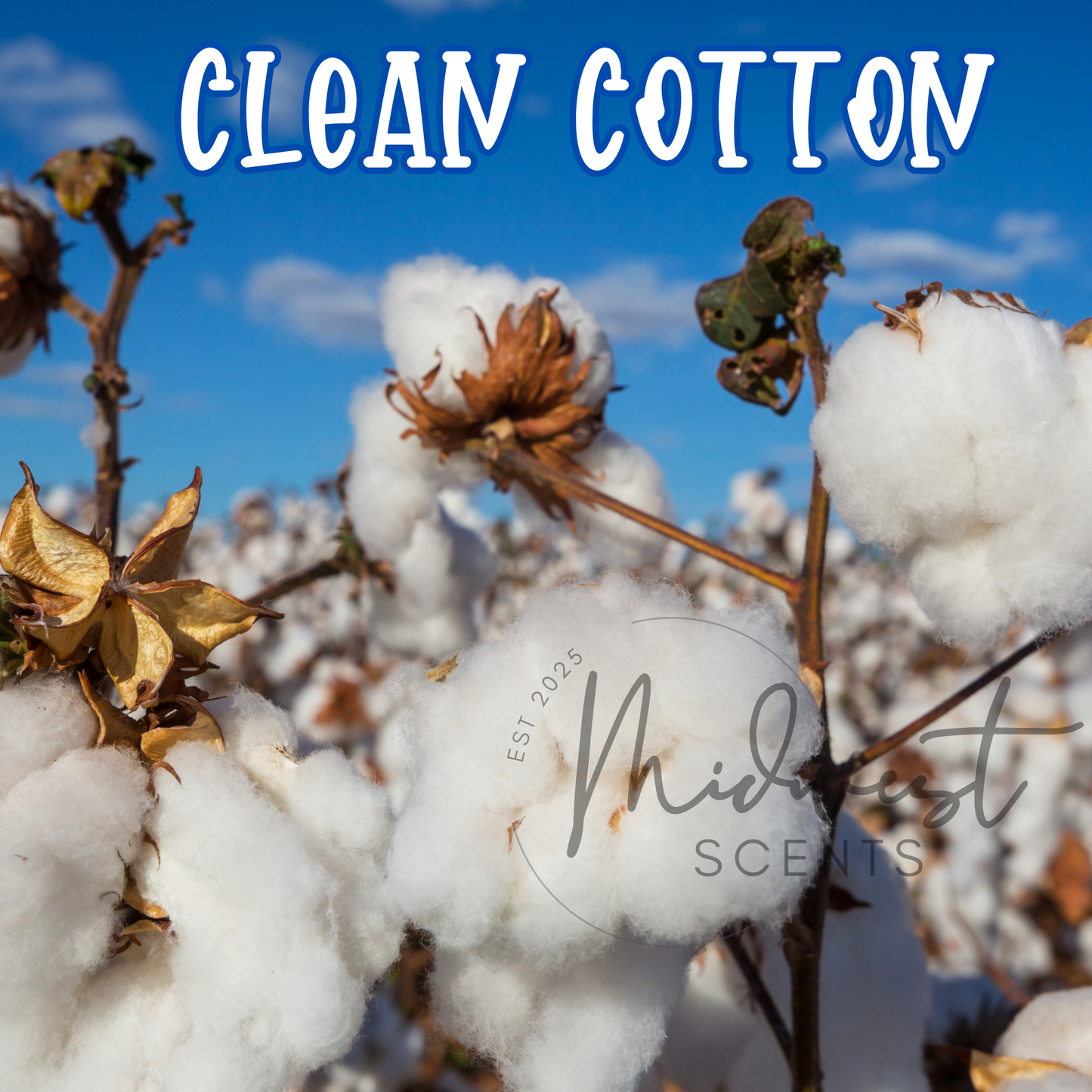 Clean Coton